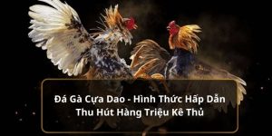 đá gà cựa dao