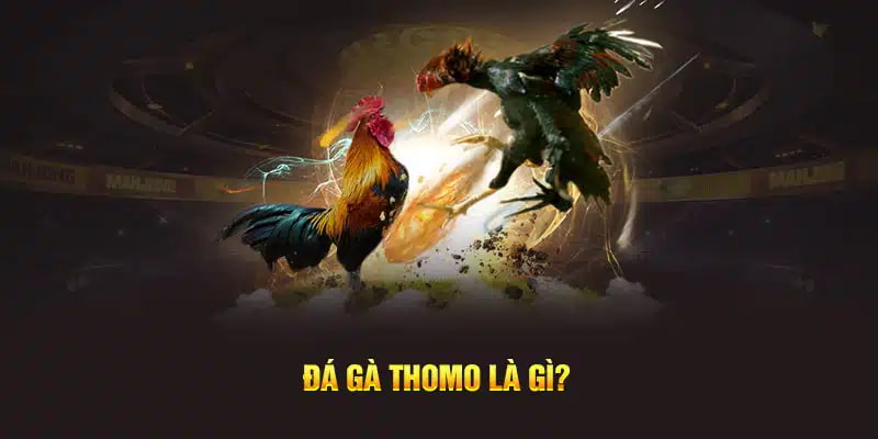 Đá gà thomo for88: Cược chọi kê thả ga rinh quà khùng